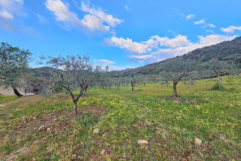 Villa i Collesano, Palermo, Collesano - € 185.000 | Ref: 10625 - foto 17